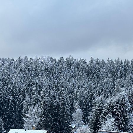 Penzion Verde Rosa Harrachov Buitenkant foto